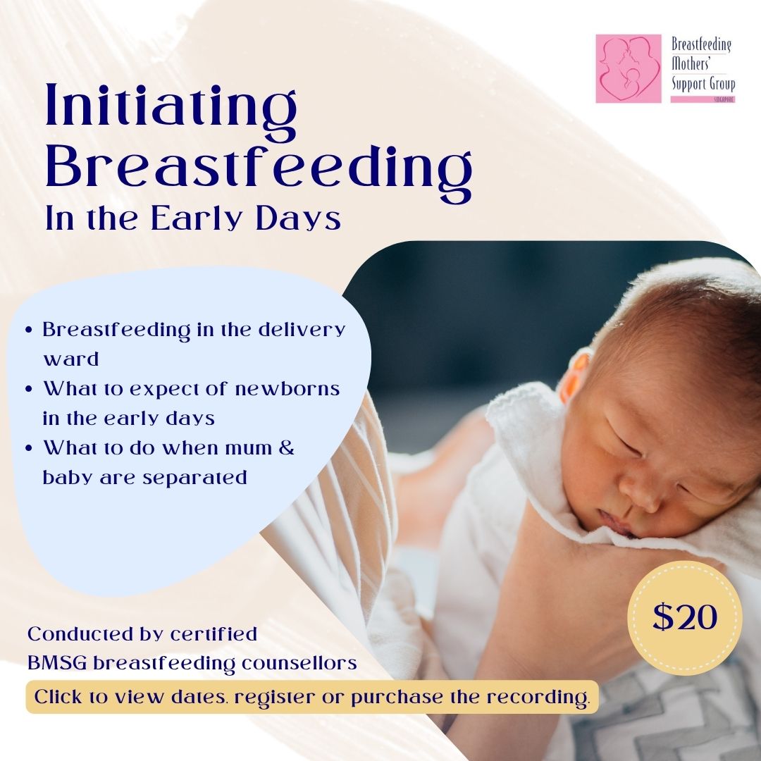 BMSG Mini-Workshop – Initiating Breastfeeding in the Early Days
