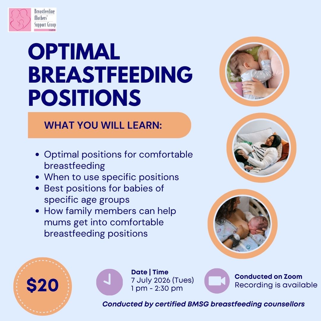 BMSG Mini-Workshop – Optimal Breastfeeding Positions
