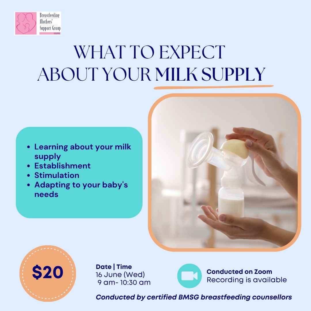 BMSG Mini-Workshop – What To Expect About Your Milk Supply