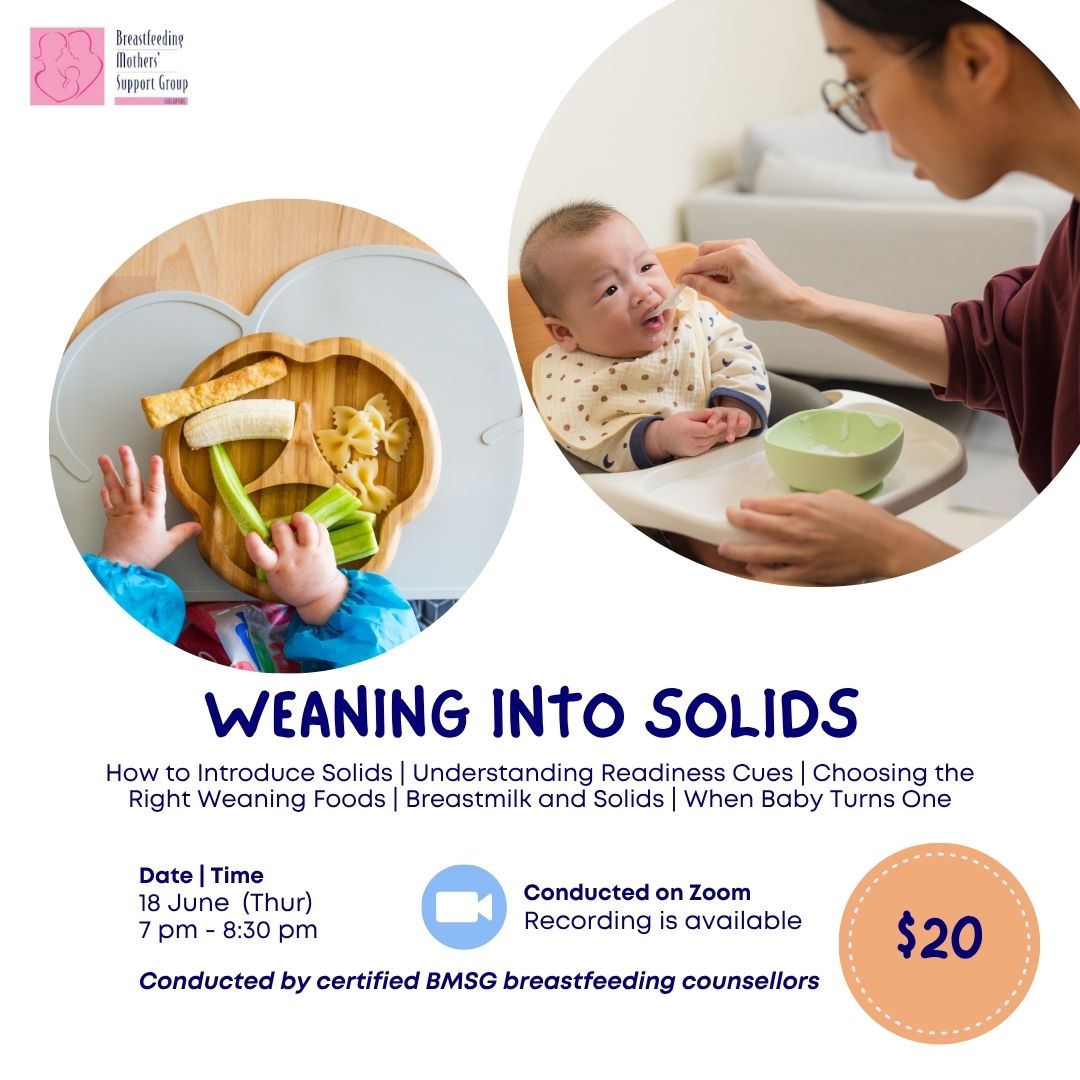 BMSG Mini-Workshop – Weaning Into Solids