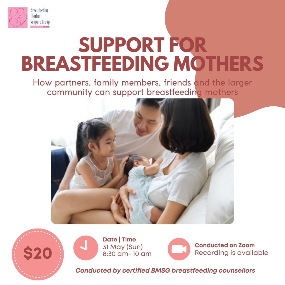 BMSG Mini-Workshop – Support for Breastfeeding Mothers