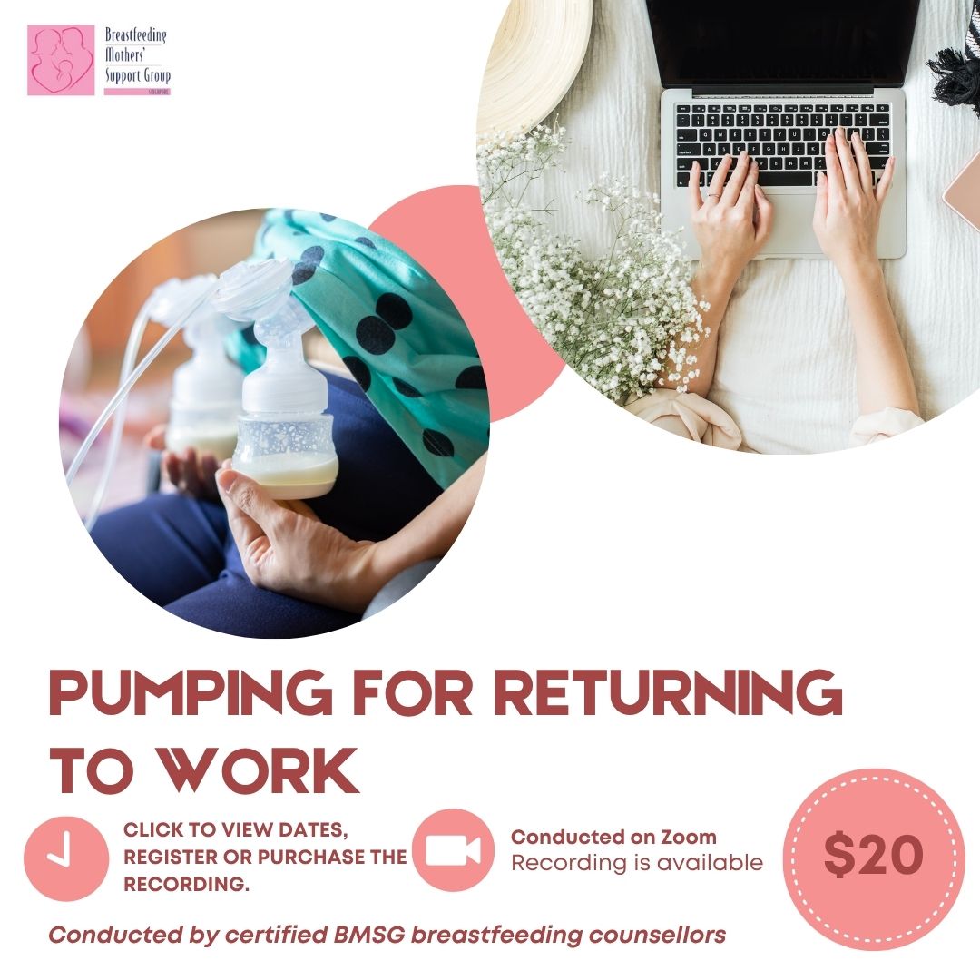 BMSG Mini-Workshop – Pumping for Returning to Work