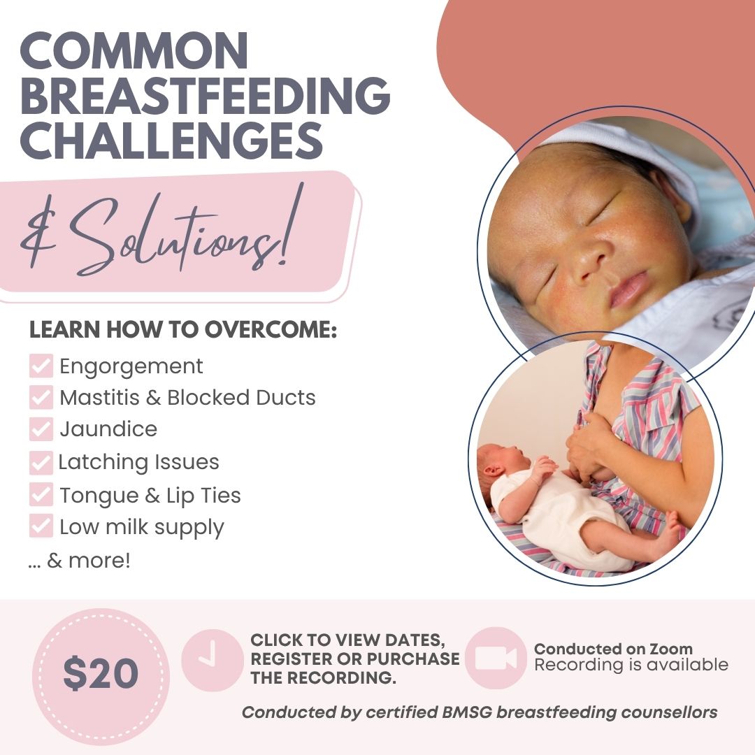 BMSG Mini-Workshop – Common Breastfeeding Challenges + Solutions