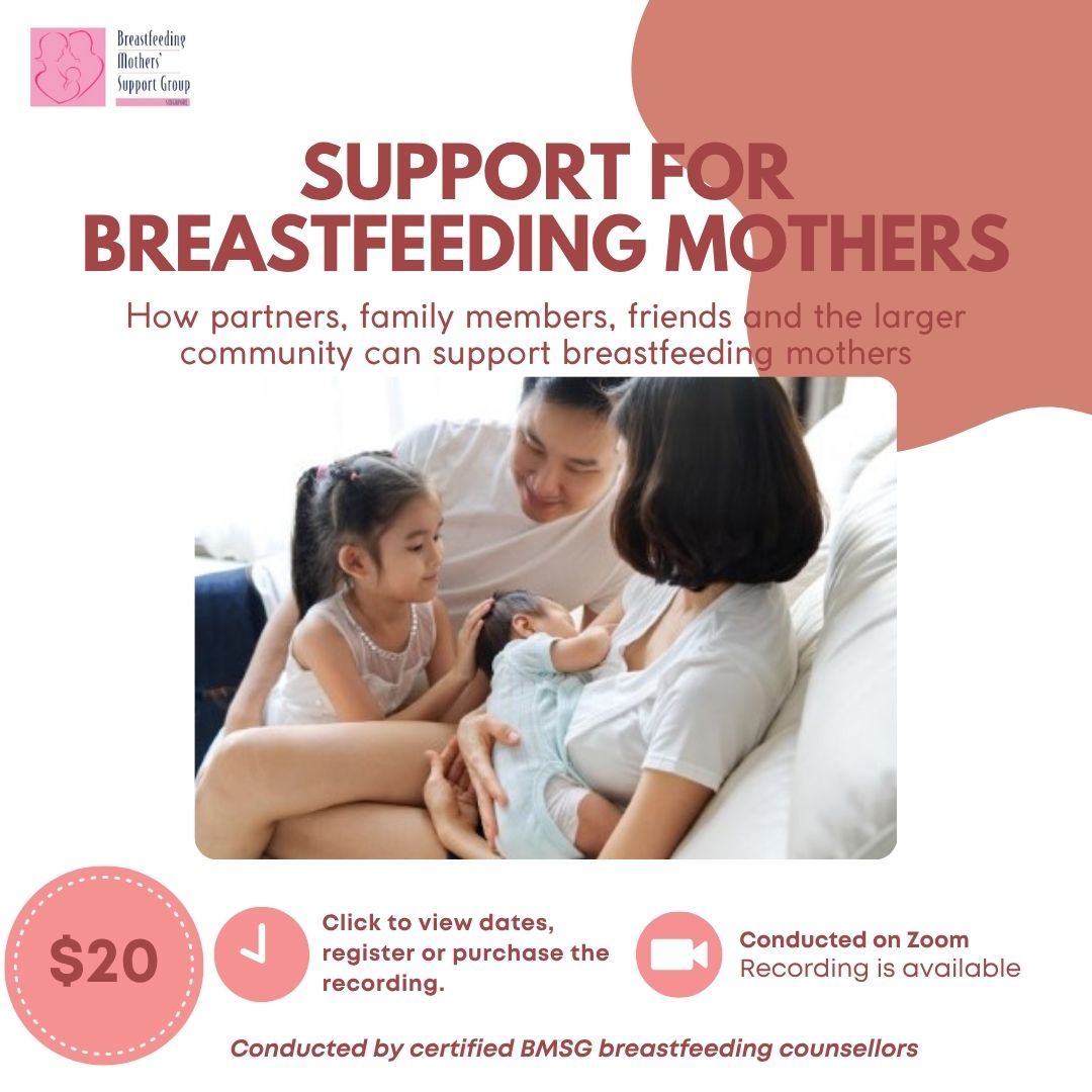 BMSG Mini-Workshop – Support for Breastfeeding Mothers