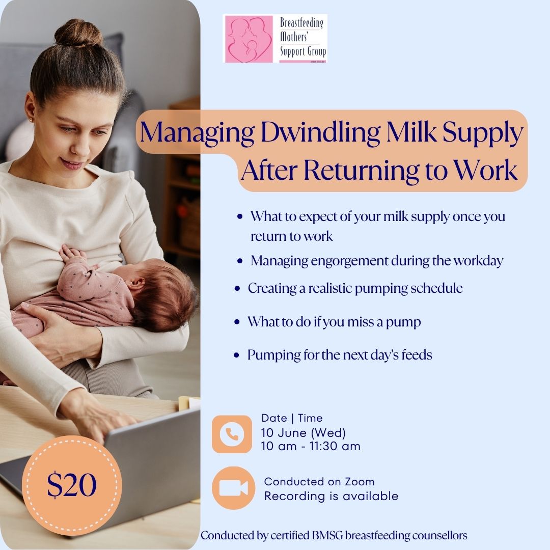 BMSG Mini-Workshop – Managing a Dwindling Milk Supply After Returning to Work