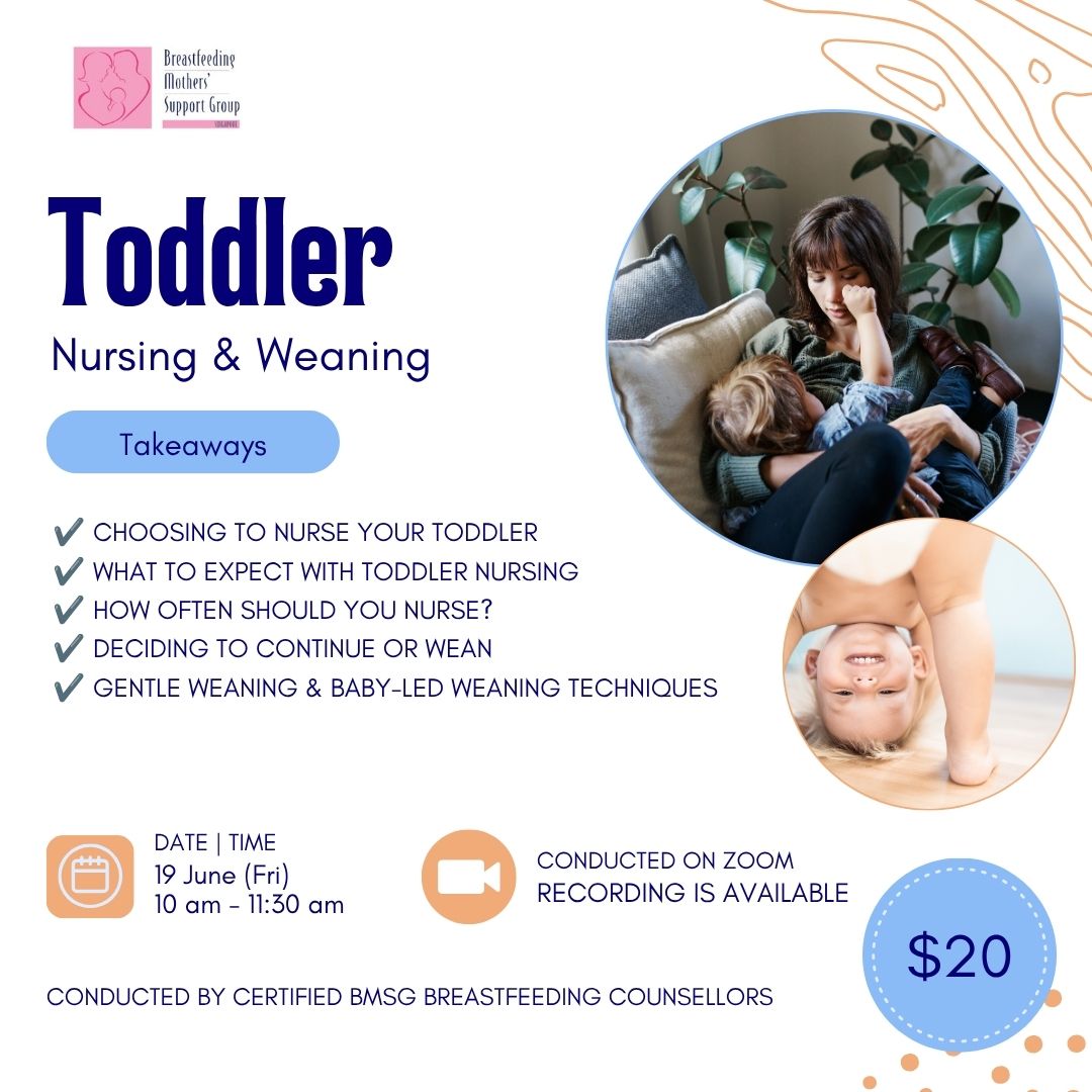 BMSG Mini-Workshop – Toddler Nursing & Weaning