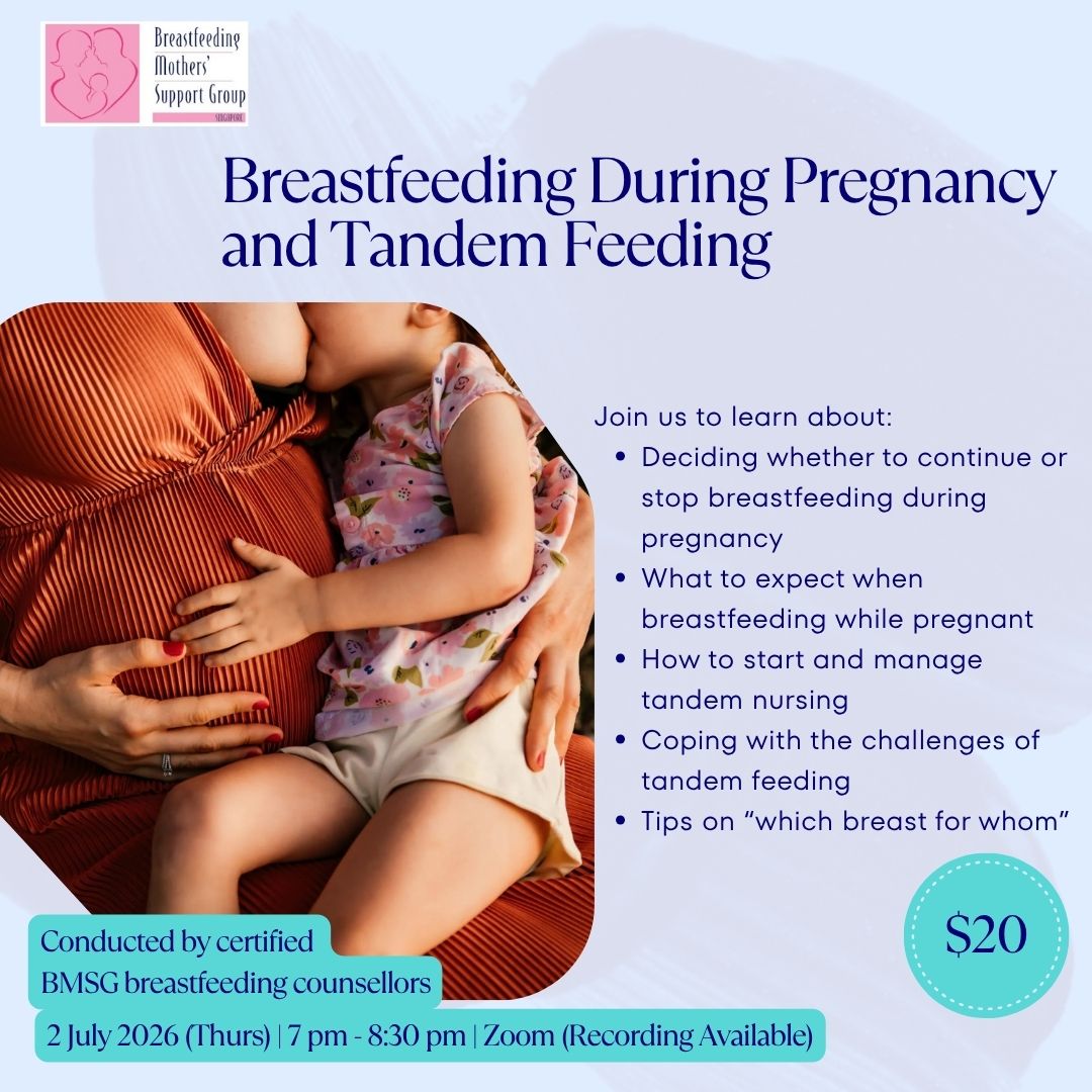 BMSG Mini-Workshop – Breastfeeding During Pregnancy and Tandem Feeding