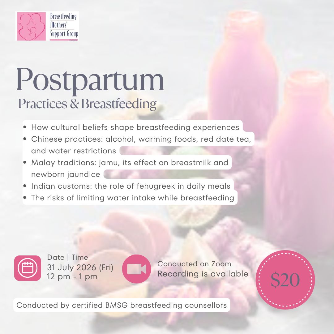 BMSG Mini-Workshop – Postpartum Practices & Breastfeeding