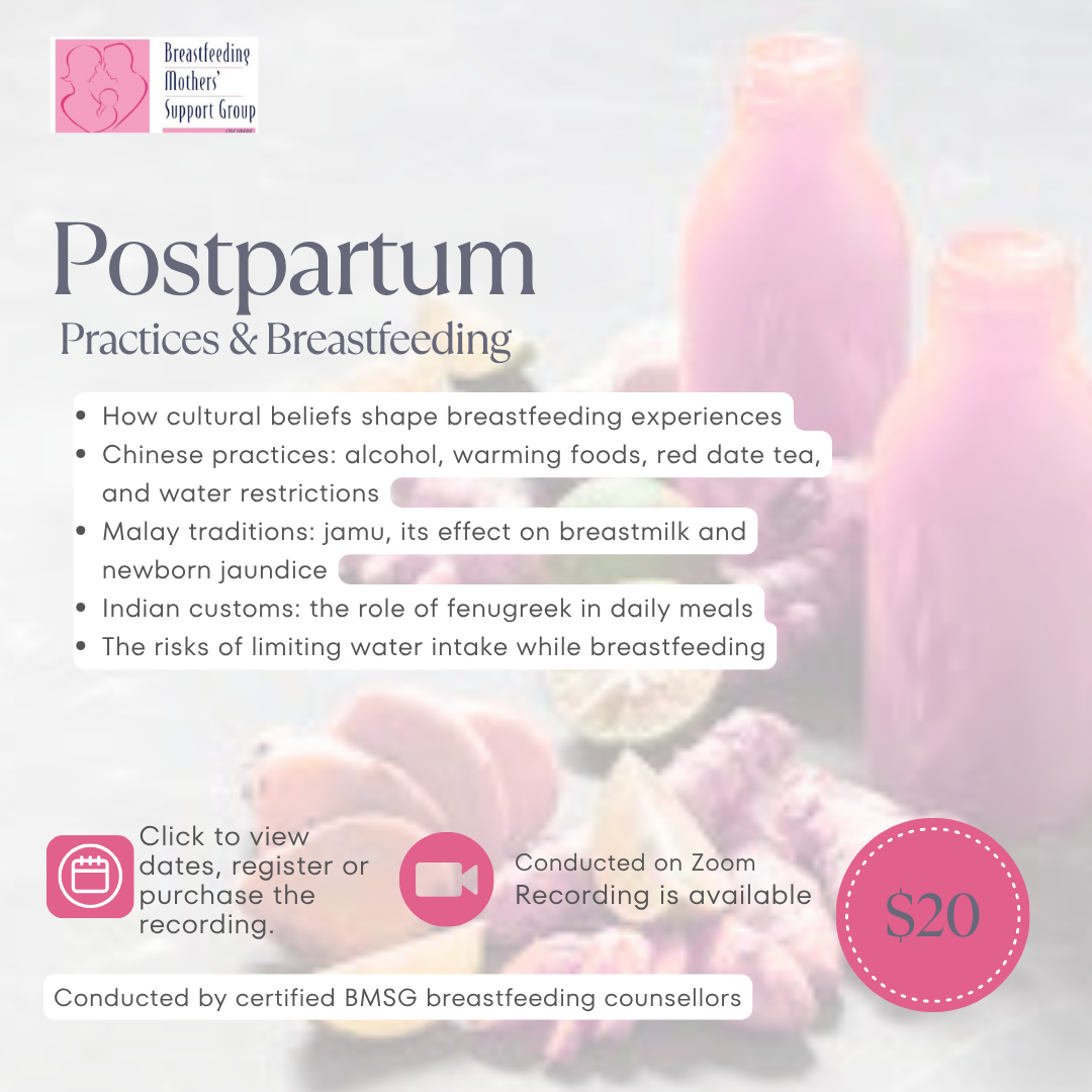BMSG Mini-Workshop – Postpartum Practices & Breastfeeding