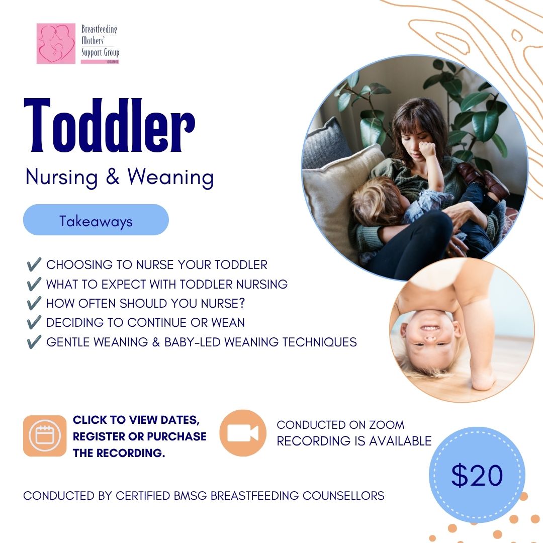 BMSG Mini-Workshop – Toddler Nursing & Weaning