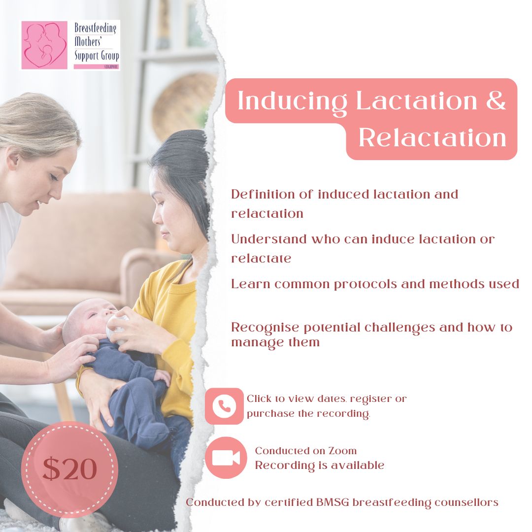 BMSG Mini-Workshop – Inducing Lactation & Relactation
