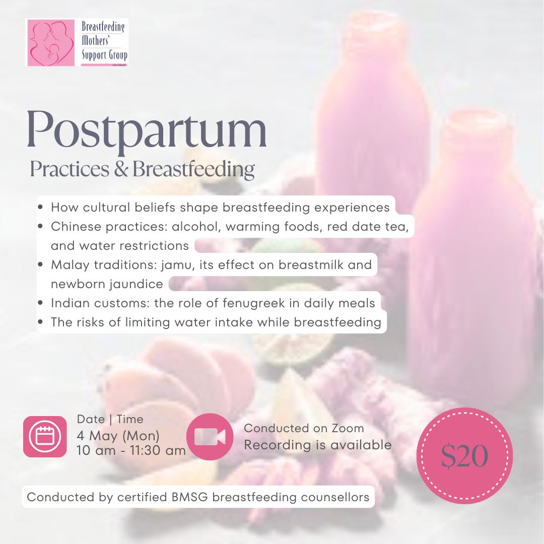 BMSG Mini-Workshop – Postpartum Practices & Breastfeeding