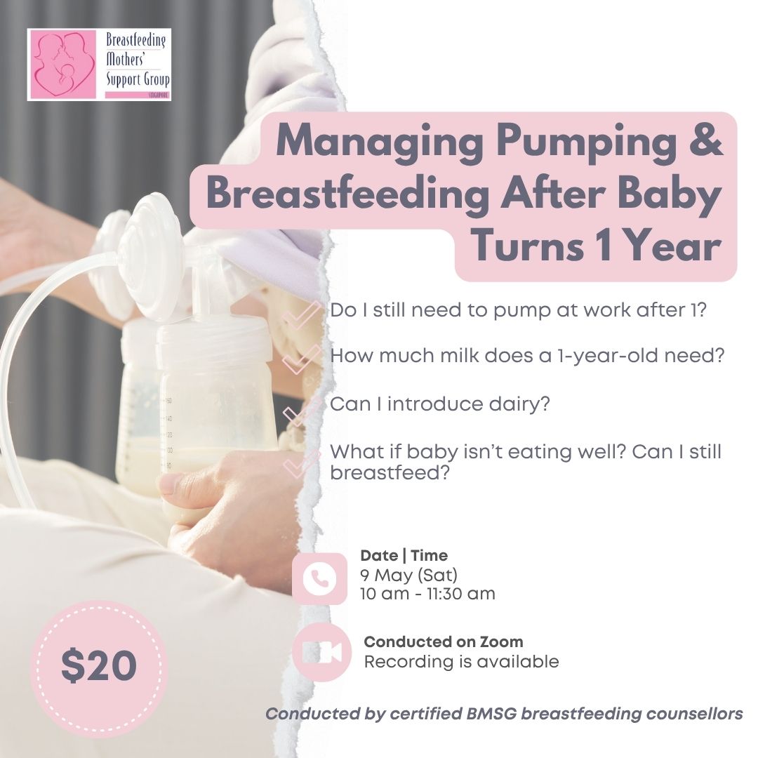 BMSG Mini-Workshop -Managing Pumping & Breastfeeding After Baby Turns 1 Year